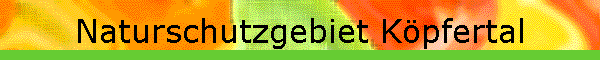 Naturschutzgebiet Kpfertal